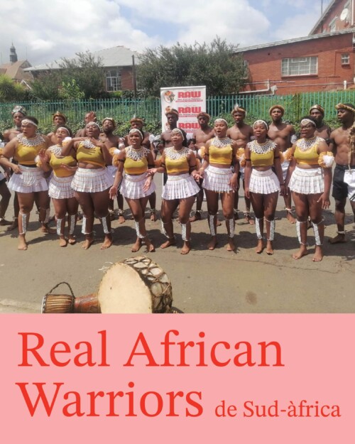 DANSES DE SUD-ÀFRICA - REAL AFRICAN WARRIORS